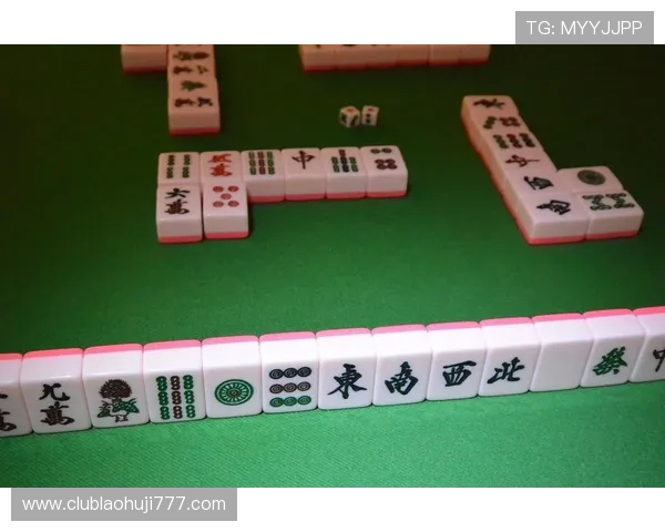 掌握麻将技巧的必备免费电子书，详细讲解各种麻将玩法与技巧